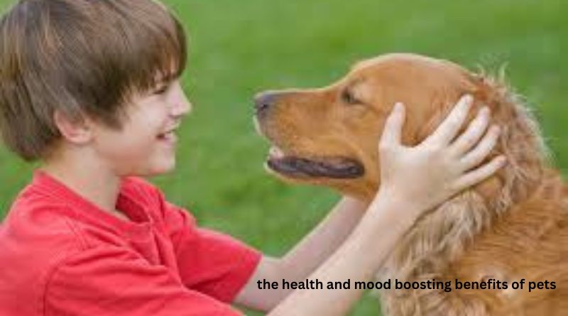 the health and mood boosting benefits of pets