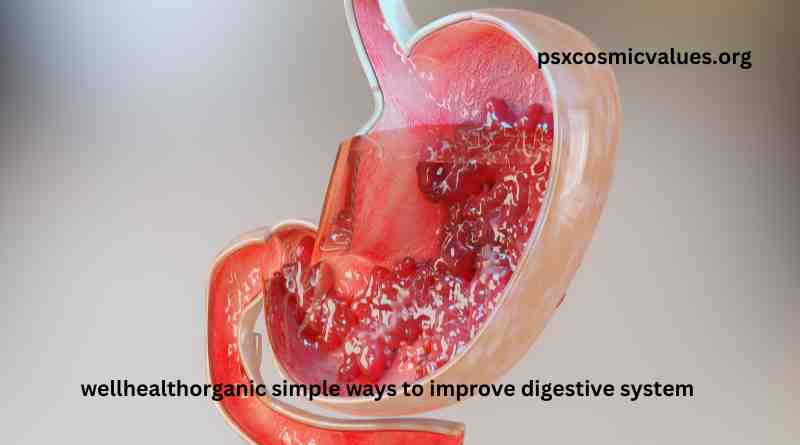 wellhealthorganic simple ways to improve digestive system 