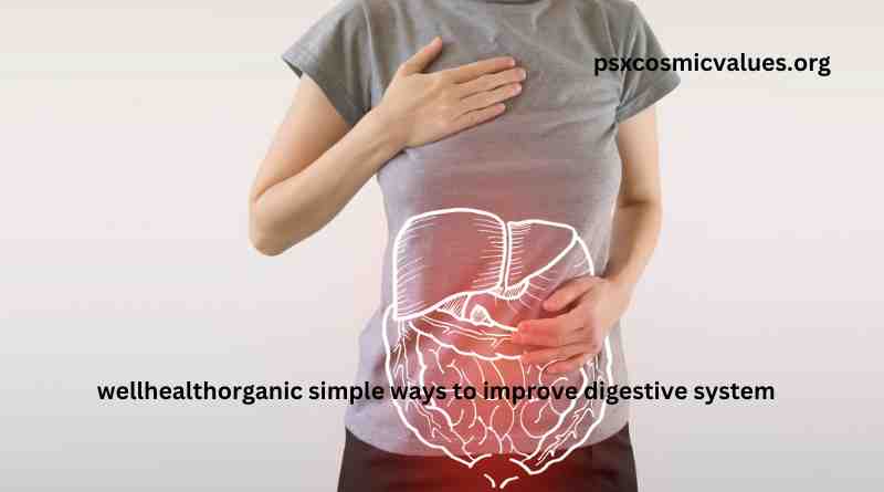 wellhealthorganic simple ways to improve digestive system in hindi