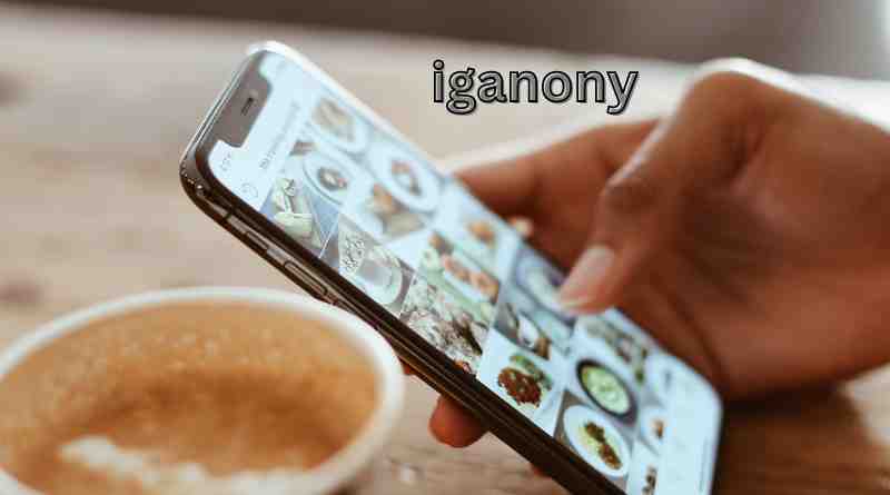IgAnony Unveiled: The Premier Instagram Story Viewer of 2024