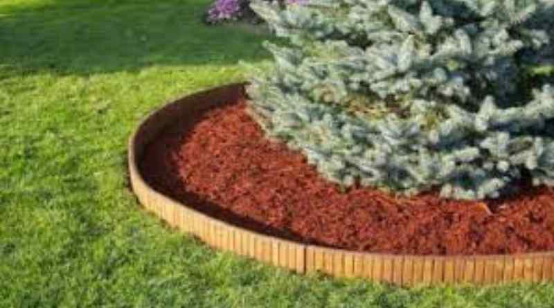 Transform Your Garden with Timber Edging